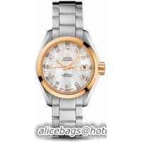 Omega Seamaster Aqua Terra Automatic Watch 158590K