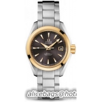 Omega Seamaster Aqua Terra Automatic Watch 158590M