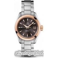 Omega Seamaster Aqua Terra Automatic Watch 158590N