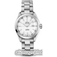 Omega Seamaster Aqua Terra Automatic Watch 158590X