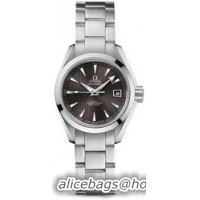 Omega Seamaster Aqua Terra Automatic Watch 158590Z