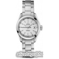 Omega Seamaster Aqua Terra Automatic Watch 158590AA