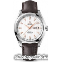 Omega Seamaster Aqua Terra Annual Calendar Watch 158589D