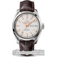 Omega Seamaster Aqua Terra Annual Calendar Watch 158589G