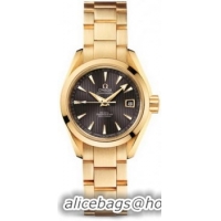 Omega Seamaster Aqua Terra Automatic Watch 158591N