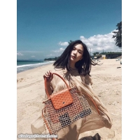 Low Price Design Goyard Aligre Mesh Bag 2300 Orange