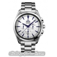 Omega Seamaster Aqua Terra Series Mens Stainless Steel Wristwatch-2512.30.00