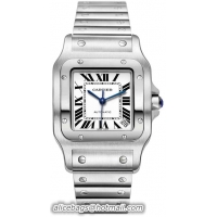 Cartier Santos Stain...