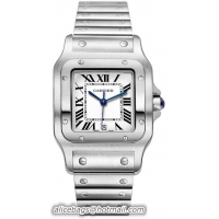 Cartier Santos Stain...