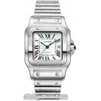 Cartier Santos Stain...