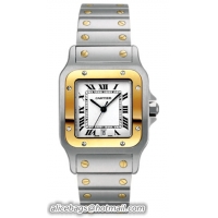 Cartier Santos Serie...