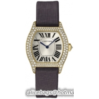 Cartier Tortue Fashionable 18k Yellow Gold Ladies Automatic Wristwatch-WA504831