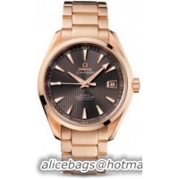 Omega Seamaster Aqua Terra Chronometer Watch 158592C