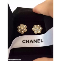 Chanel Earrings CE110629