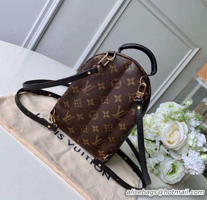 Chic Louis Vuitton Original Monogram Canvas PALM SPRINGS MINI M44367