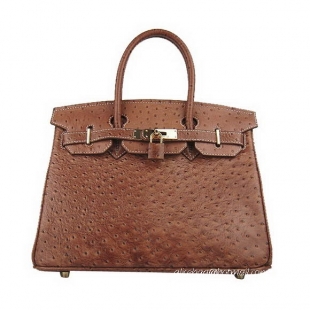 Hermes Birkin 30cm Ostrich Veins Handbag Light Coffee 6088