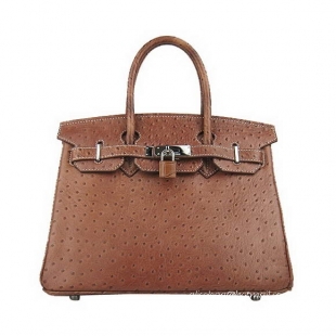 Hermes Birkin 30cm Ostrich Veins Handbag Light Coffee