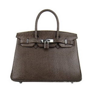 Hermes Birkin 30cm Ostrich Veins Handbag Dark Coffee 6088 Silver