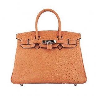 Hermes Birkin 30cm Ostrich Veins Handbag Orange 6088 Silver