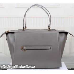 Expensive Celine Ring Bag Smooth Calfskin Leather 176203 Grey