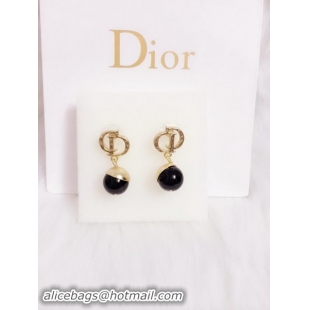 Classic Dior Earrings D0001B