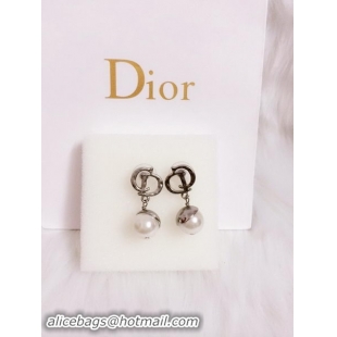 Best Grade Dior Earrings D0001E