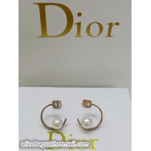 Classic Dior Earrings D0004