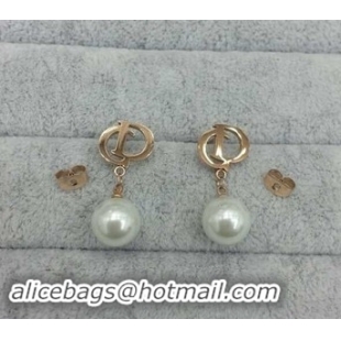 Low Price Dior Earrings DJ14072822