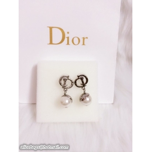 Cheap Dior Earrings DJ14072846