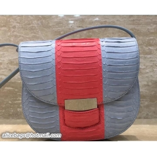 Perfect Celine Watersnake Small Trotteur Shoulder Bag 111201 Cloud/Poppy 2017