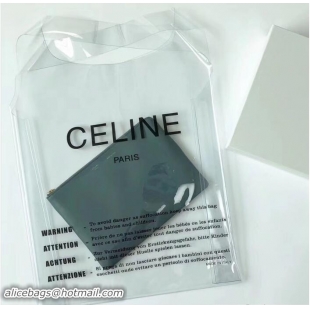 Top Grade Celine Clutch Pouch Bag Light Blue and PVC Transparent Plastic Shopping Bag 62025 2018