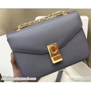 Fashion Celine Shiny Calfskin Medium C Bag Gray 187253 2019