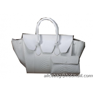 Celine Tie Nano Top Handle Bag Original Snake Leather C3052 White