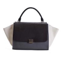 Newest 2012 Celine T...