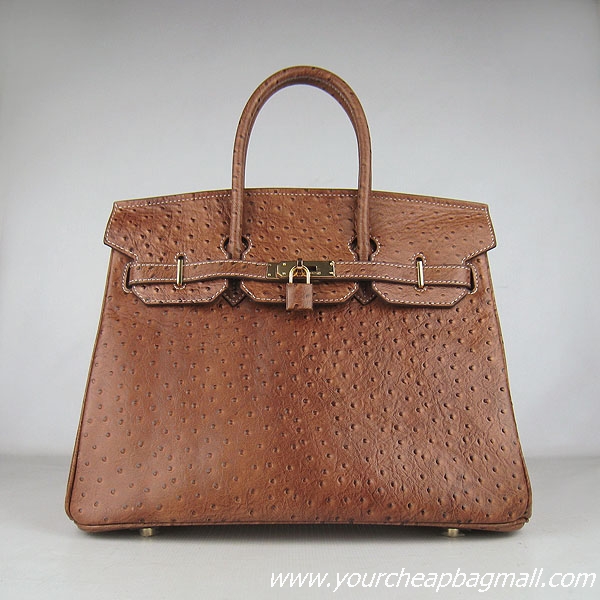 Hermes Birkin 35cm Ostrich Veins Handbag Light Coffee 6089 Gold Hardware