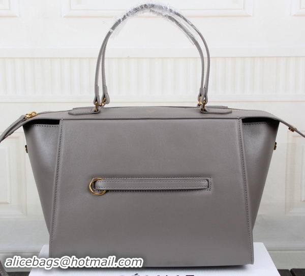 Expensive Celine Ring Bag Smooth Calfskin Leather 176203 Grey