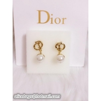 Ladies Dior Earrings D0001C