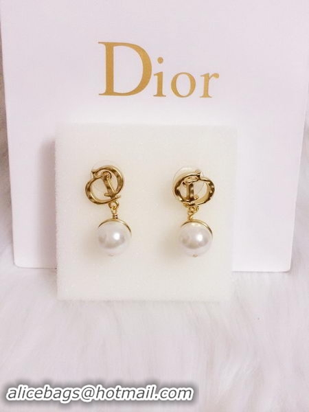 Ladies Dior Earrings D0001C