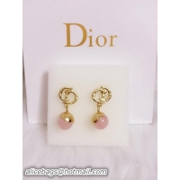 Hot Sell Dior Earrings D0001D