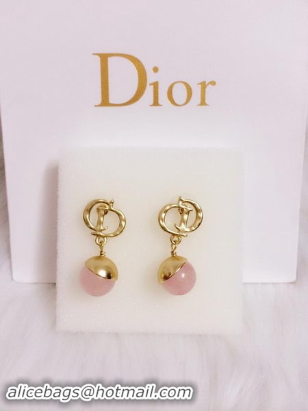 Hot Sell Dior Earrings D0001D