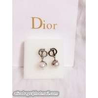 Best Grade Dior Earrings D0001E