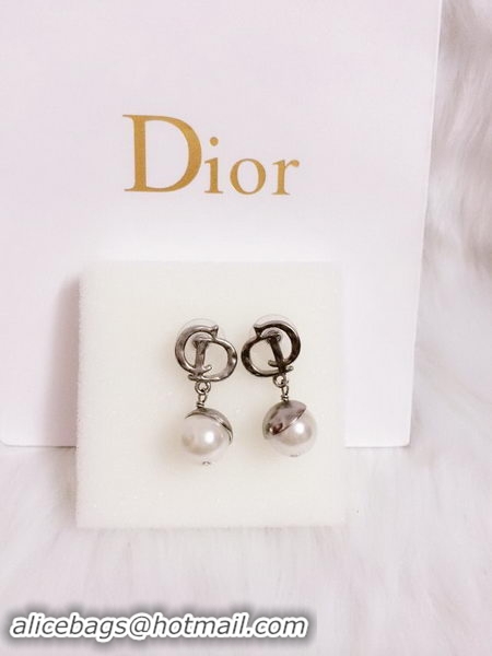 Best Grade Dior Earrings D0001E