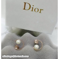 Stylish Dior Earrings D429D