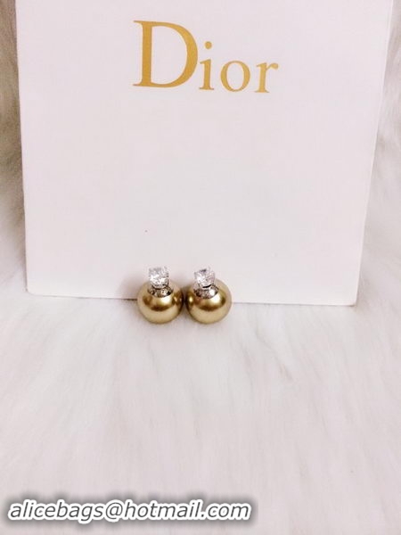 Best Price Dior Earrings D0002A