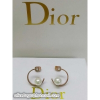 Classic Dior Earrings D0004