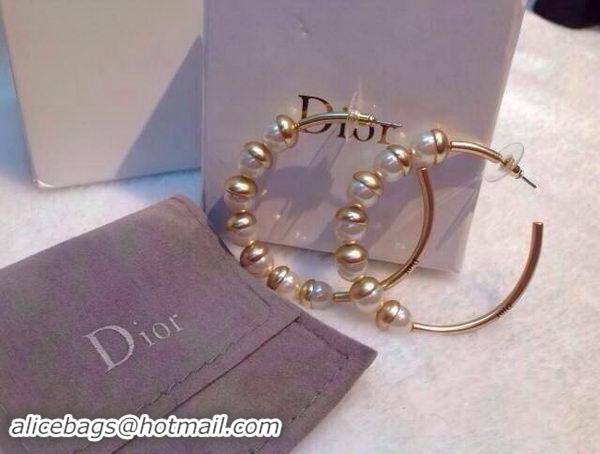 Sumptuous Dior Earrings D429A