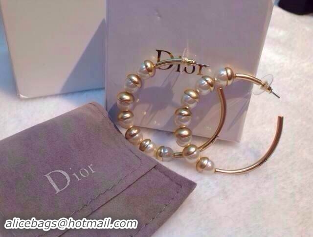 Crafted Dior Earrings DJ14072844