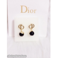 Durable Dior Earrings DJ14072834