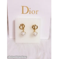 Shop Duplicate Dior Earrings DJ14072835