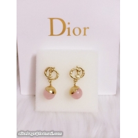 Luxurious Dior Earrings DJ14072836